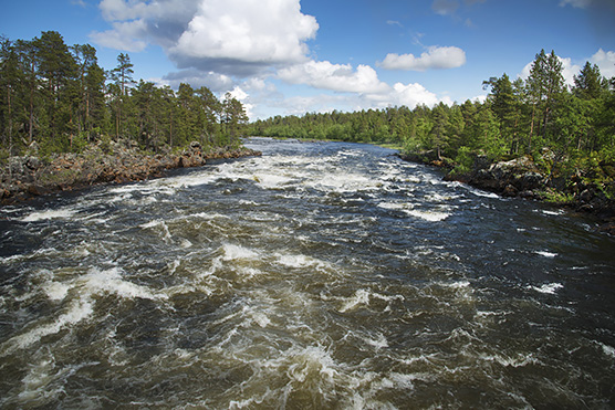 Vuolaana virtaava koski